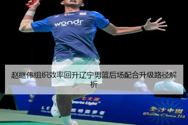 赵继伟组织效率回升辽宁男篮后场配合升级路径解析
